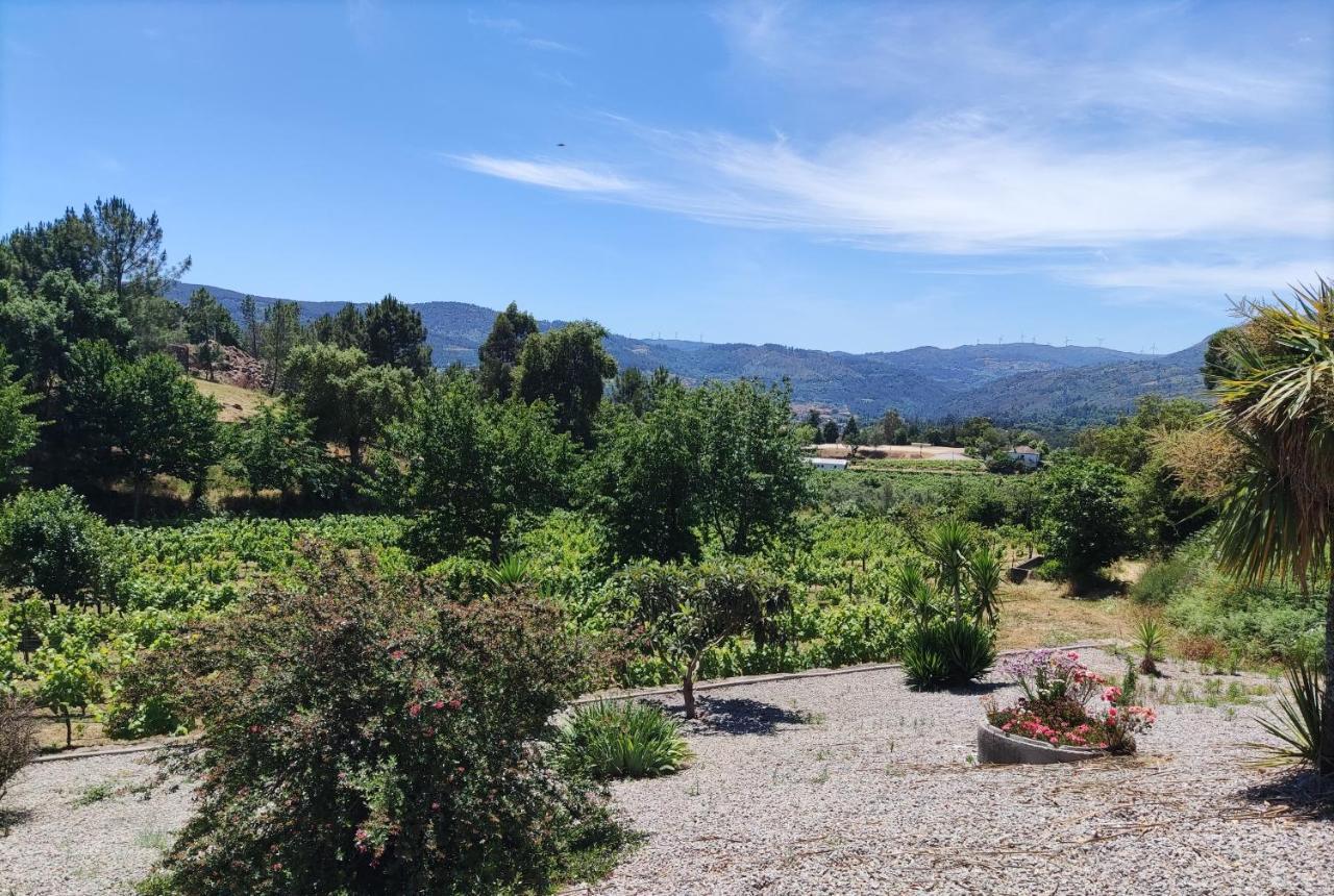 Quinta Da Paixao - Bed & Breakfast Pedraca Luaran gambar